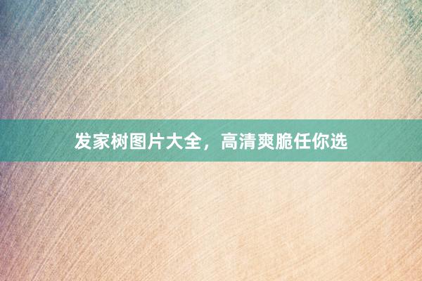 发家树图片大全，高清爽脆任你选