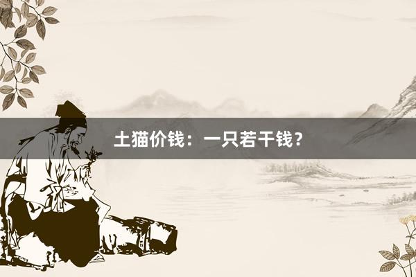 土猫价钱：一只若干钱？